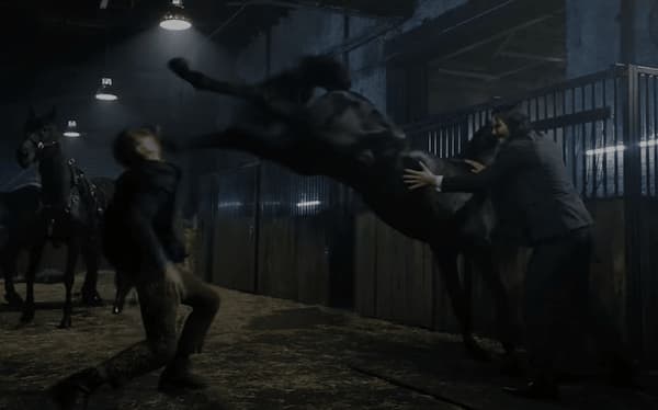 Horse